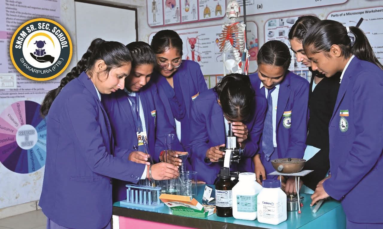 SNSM Public School